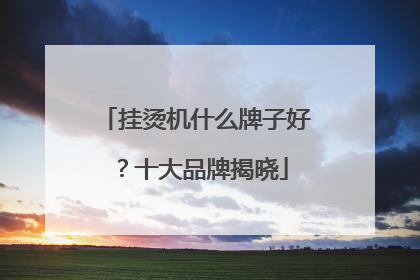挂烫机什么牌子好？十大品牌揭晓