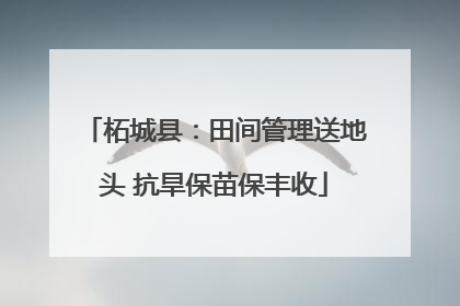 柘城县：田间管理送地头 抗旱保苗保丰收