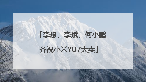 李想、李斌、何小鹏齐祝小米YU7大卖