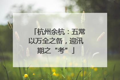 杭州余杭：五常以万全之备，迎汛期之“考”