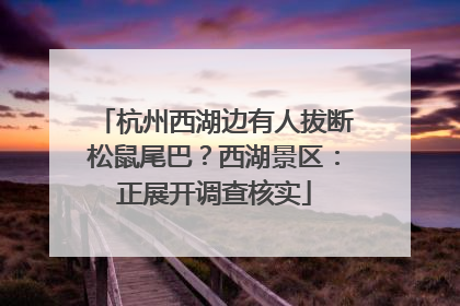 杭州西湖边有人拔断松鼠尾巴？西湖景区：正展开调查核实