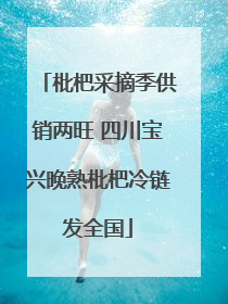 枇杷采摘季供销两旺 四川宝兴晚熟枇杷冷链发全国