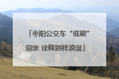 枣阳公交车“低碳”迎亲 诠释别样浪漫