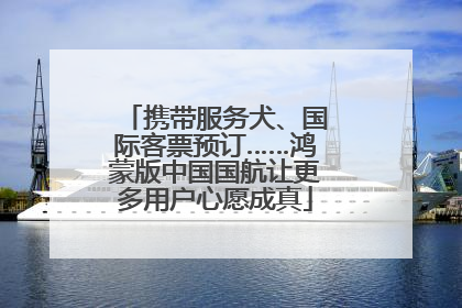 携带服务犬、国际客票预订……鸿蒙版中国国航让更多用户心愿成真