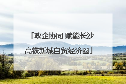 政企协同 赋能长沙高铁新城自贸经济圈