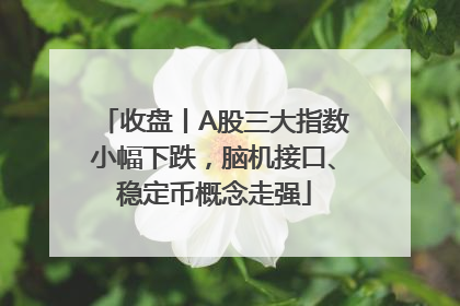 收盘丨A股三大指数小幅下跌，脑机接口、稳定币概念走强