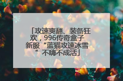 攻速爽翻、装备狂欢，996传奇盒子新服“蓝猫攻速冰雪”不嗨不成活