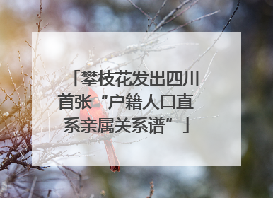 攀枝花发出四川首张“户籍人口直系亲属关系谱”