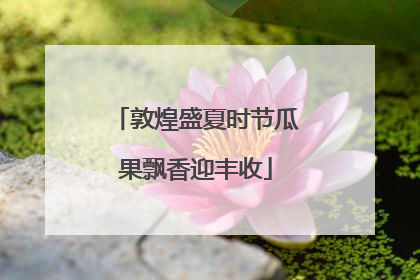 敦煌盛夏时节瓜果飘香迎丰收