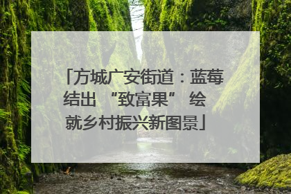 方城广安街道：蓝莓结出 “致富果” 绘就乡村振兴新图景