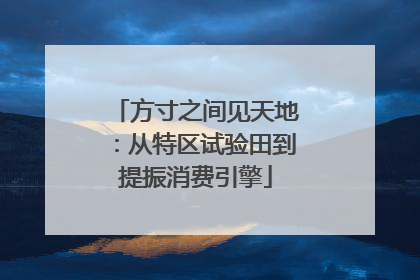 方寸之间见天地：从特区试验田到提振消费引擎