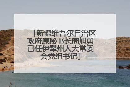 新疆维吾尔自治区政府原秘书长周旭勇已任伊犁州人大常委会党组书记