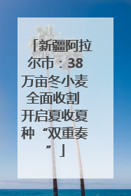 新疆阿拉尔市：38万亩冬小麦全面收割 开启夏收夏种“双重奏”