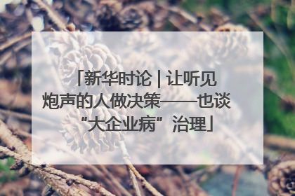 新华时论 | 让听见炮声的人做决策——也谈“大企业病”治理