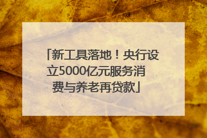 新工具落地！央行设立5000亿元服务消费与养老再贷款