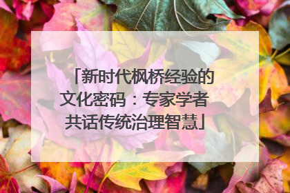 新时代枫桥经验的文化密码：专家学者共话传统治理智慧