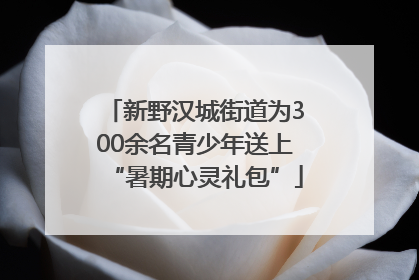 新野汉城街道为300余名青少年送上“暑期心灵礼包”