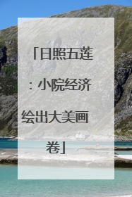 日照五莲：小院经济绘出大美画卷