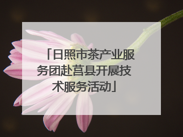 日照市茶产业服务团赴莒县开展技术服务活动