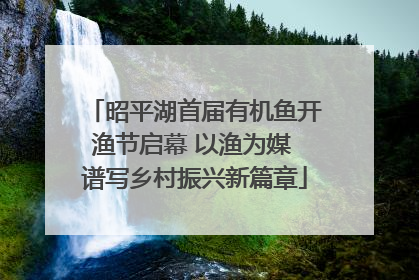 昭平湖首届有机鱼开渔节启幕 以渔为媒 谱写乡村振兴新篇章