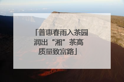 普惠春雨入茶园 润出“湘”茶高质量致富路