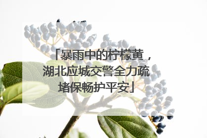 暴雨中的柠檬黄，湖北应城交警全力疏堵保畅护平安