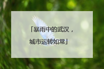 暴雨中的武汉，城市运转如常