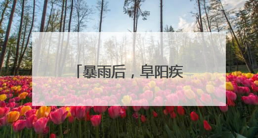 暴雨后，阜阳疾控紧急提示！