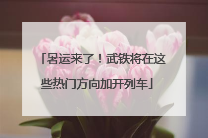 暑运来了！武铁将在这些热门方向加开列车
