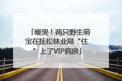 暖哭！两只野生萌宝在抚松林业局“住”上了VIP病房
