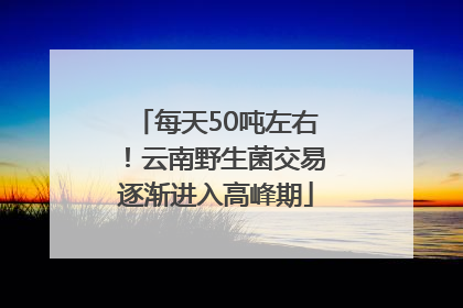 每天50吨左右！云南野生菌交易逐渐进入高峰期