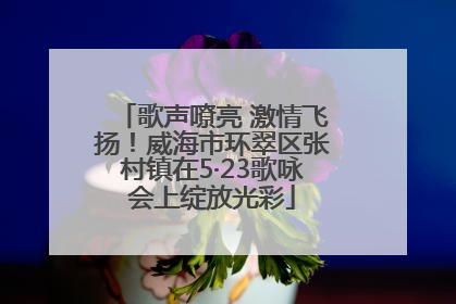 歌声嘹亮 激情飞扬！威海市环翠区张村镇在5·23歌咏会上绽放光彩