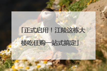 正式启用！江陵这栋大楼吃住购一站式搞定