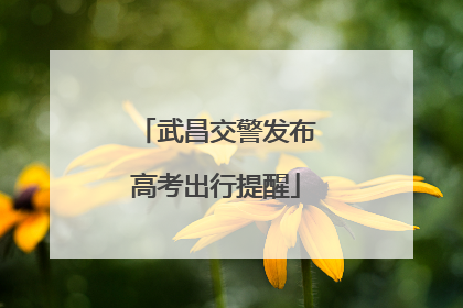 武昌交警发布高考出行提醒