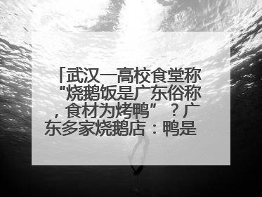 武汉一高校食堂称“烧鹅饭是广东俗称，食材为烤鸭”？广东多家烧鹅店：鸭是鸭鹅是鹅