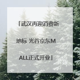 武汉再迎消费新地标 光谷京东MALL正式开业