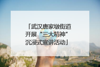 武汉唐家墩街道开展“三大精神”沉浸式宣讲活动