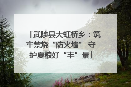 武陟县大虹桥乡：筑牢禁烧“防火墙” 守护夏粮好“丰”景