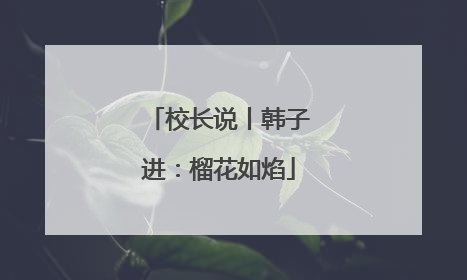校长说丨韩子进：榴花如焰