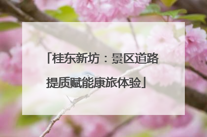 桂东新坊：景区道路提质赋能康旅体验
