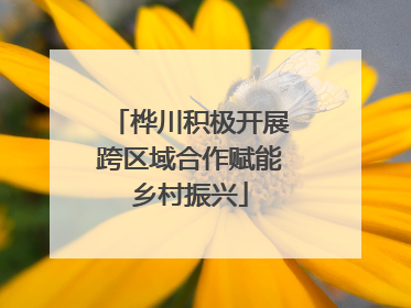 桦川积极开展跨区域合作赋能乡村振兴