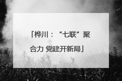 桦川：“七联”聚合力 党建开新局