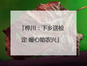 桦川：下乡送检定 暖心助农兴