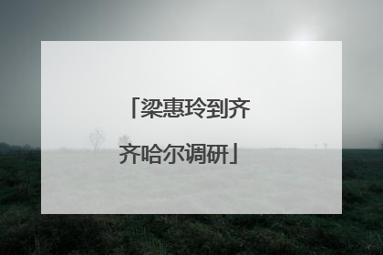 梁惠玲到齐齐哈尔调研