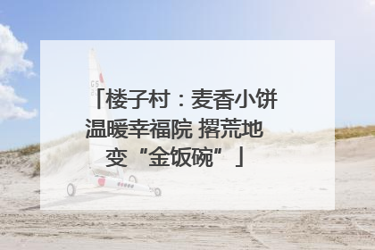 楼子村：麦香小饼温暖幸福院 撂荒地变“金饭碗”