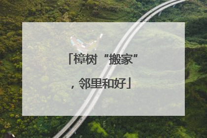 樟树“搬家”，邻里和好
