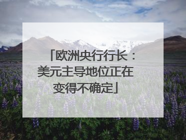 欧洲央行行长：美元主导地位正在变得不确定