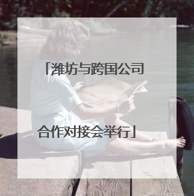 潍坊与跨国公司合作对接会举行