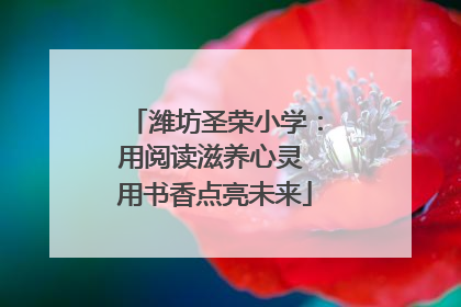 潍坊圣荣小学：用阅读滋养心灵 用书香点亮未来
