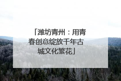 潍坊青州：用青春创意绽放千年古城文化繁花
